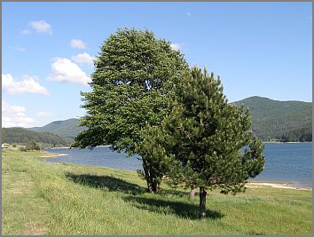 Lago Arvo Lorica Sila Kalabrien